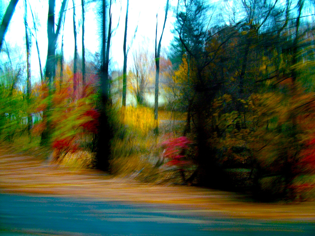 Thanksgiving Drive by Kate Mereand-Sinha