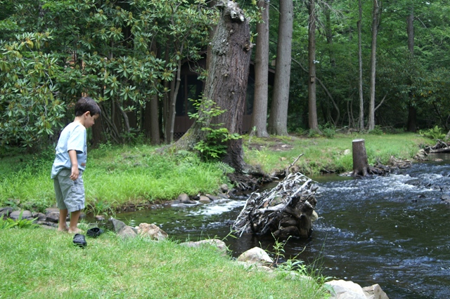 My son on the island in the stream